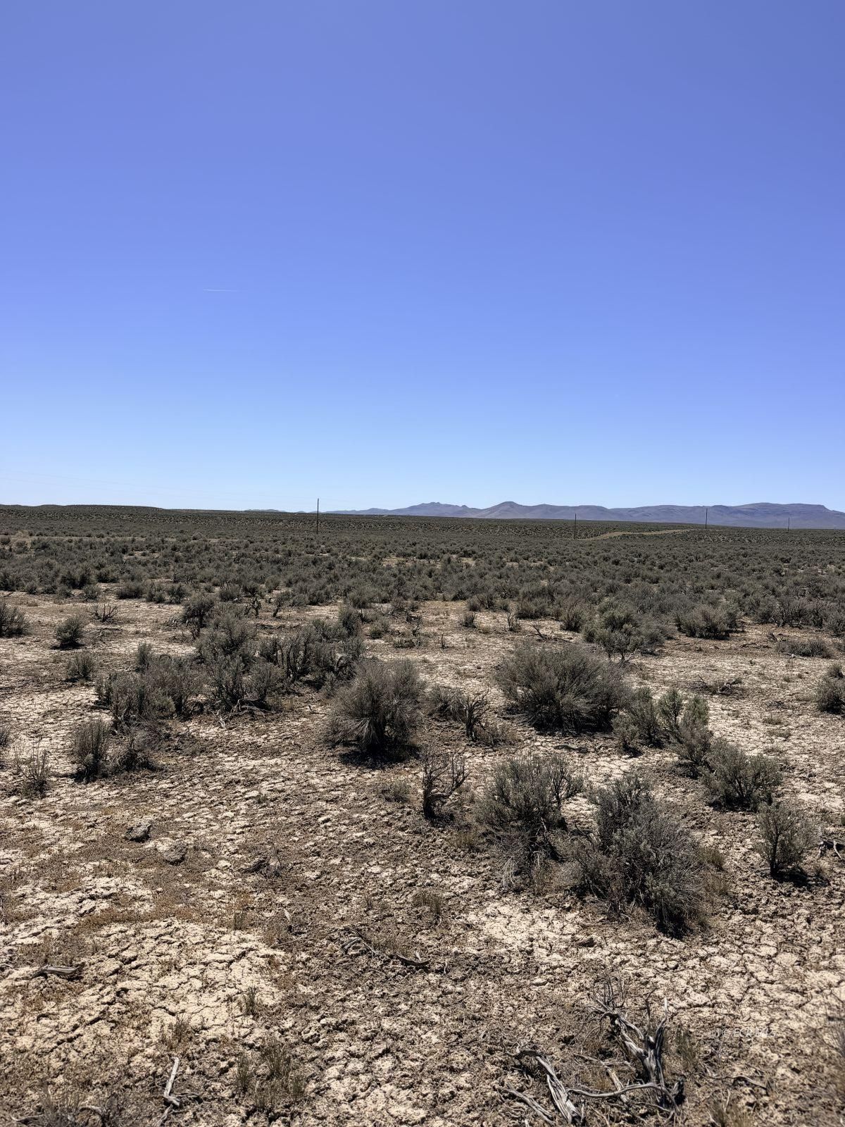 4.83 Acres Road Property Photo 19