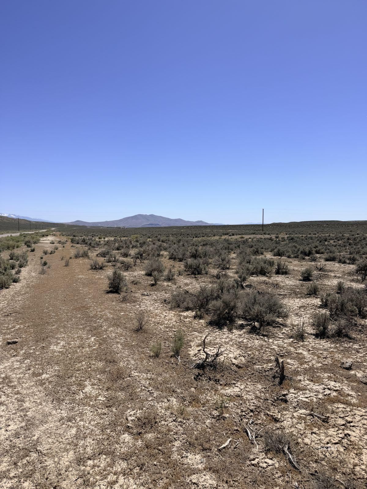 4.83 Acres Road Property Photo 22
