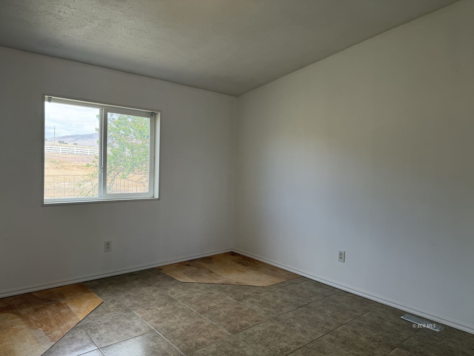 897 Lovelock Street Property Photo 5