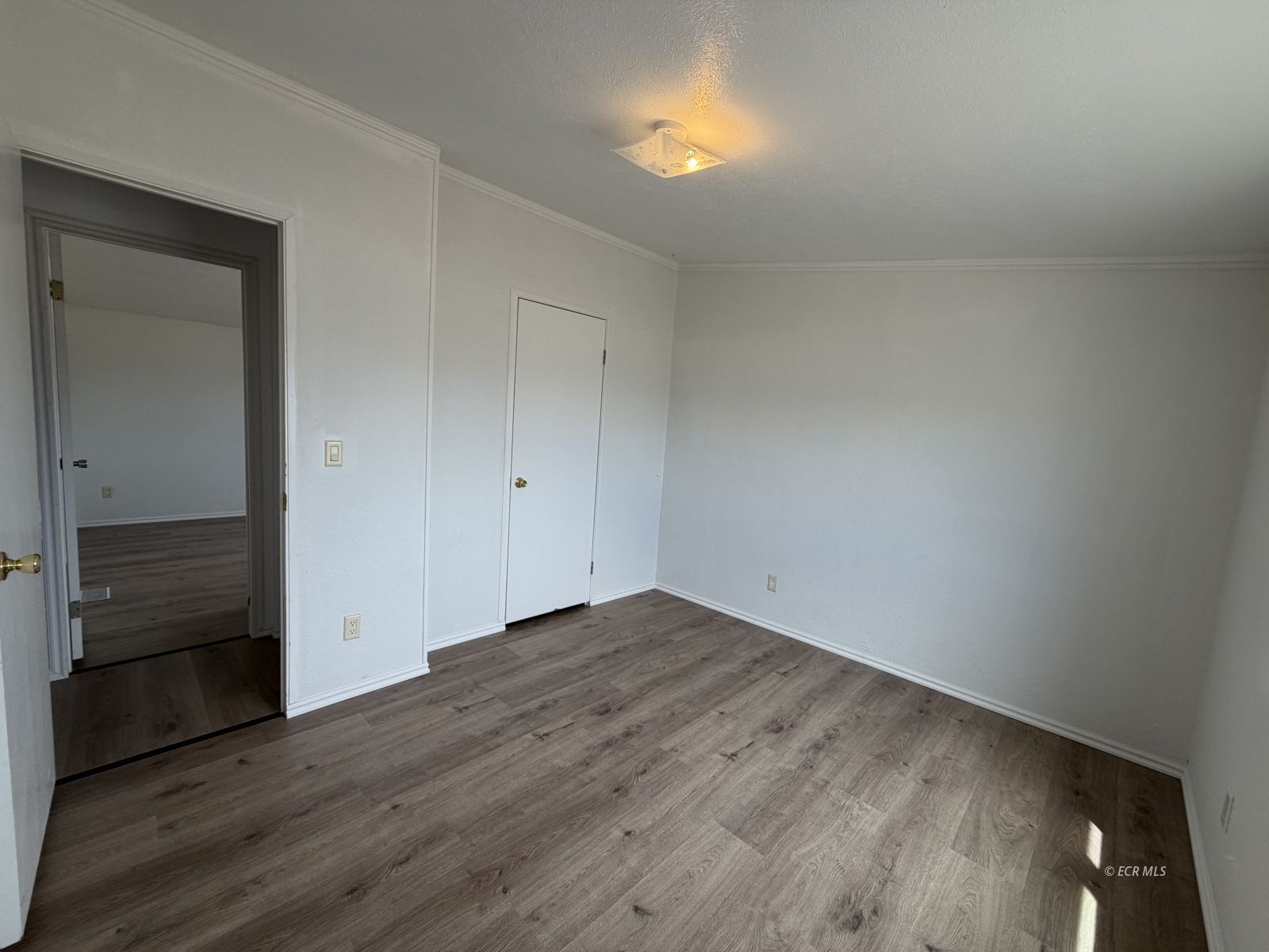 897 Lovelock Street Property Photo 11