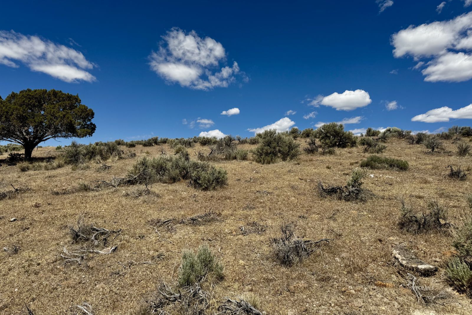 Tbd Hollyhock Street Property Photo 3
