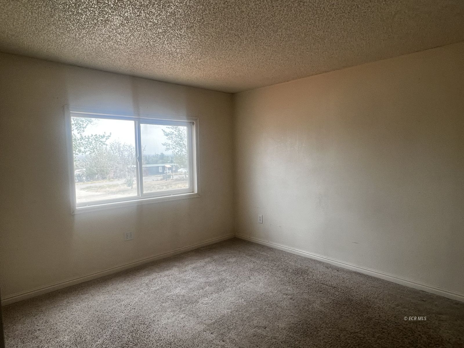 739 Hayland Drive Property Photo 6
