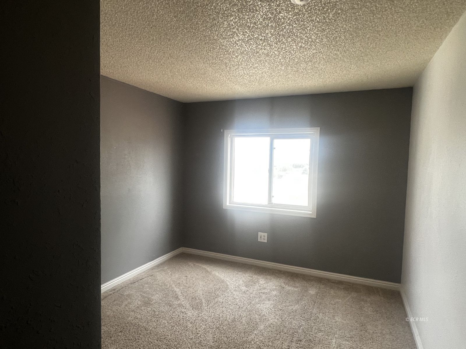 739 Hayland Drive Property Photo 9