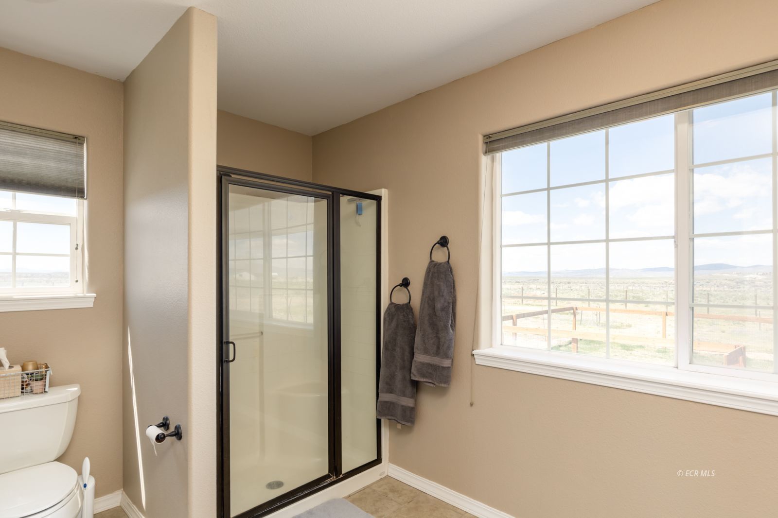 685 Diamondback Drive Property Photo 21