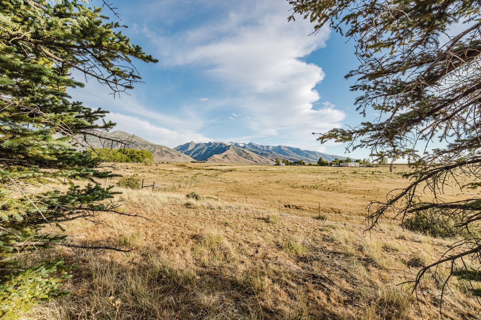 2611 N Canyon Road Property Photo 42