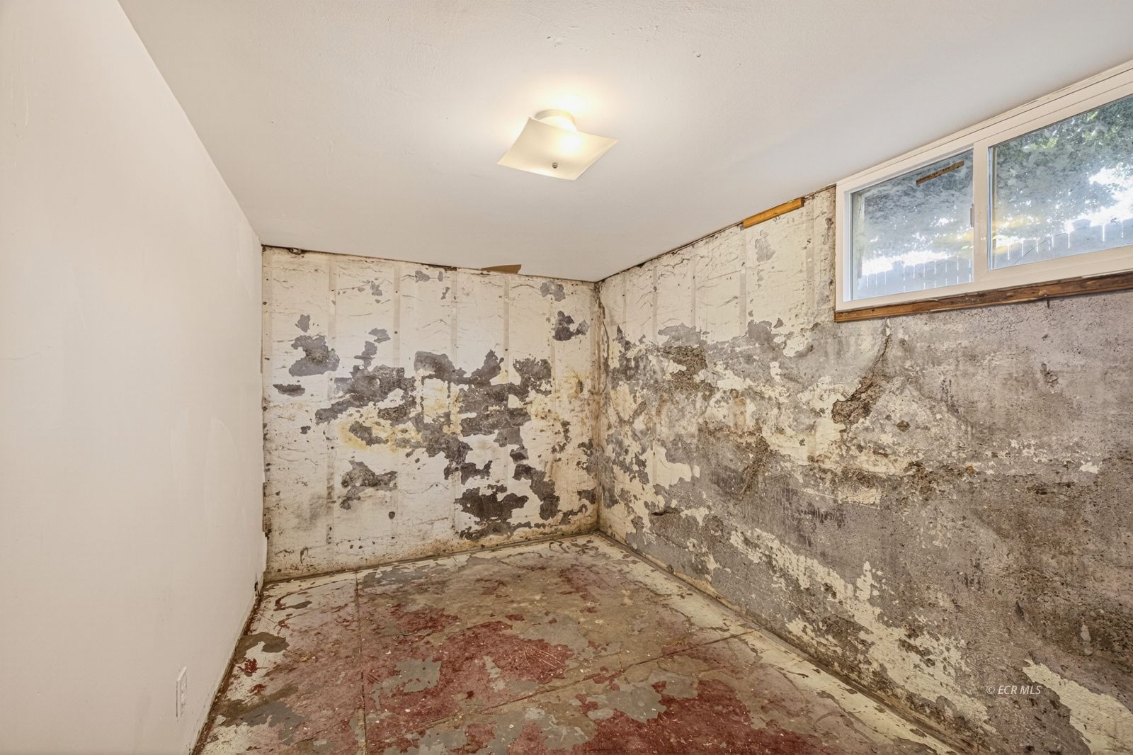 509 Fir Street Property Photo 39