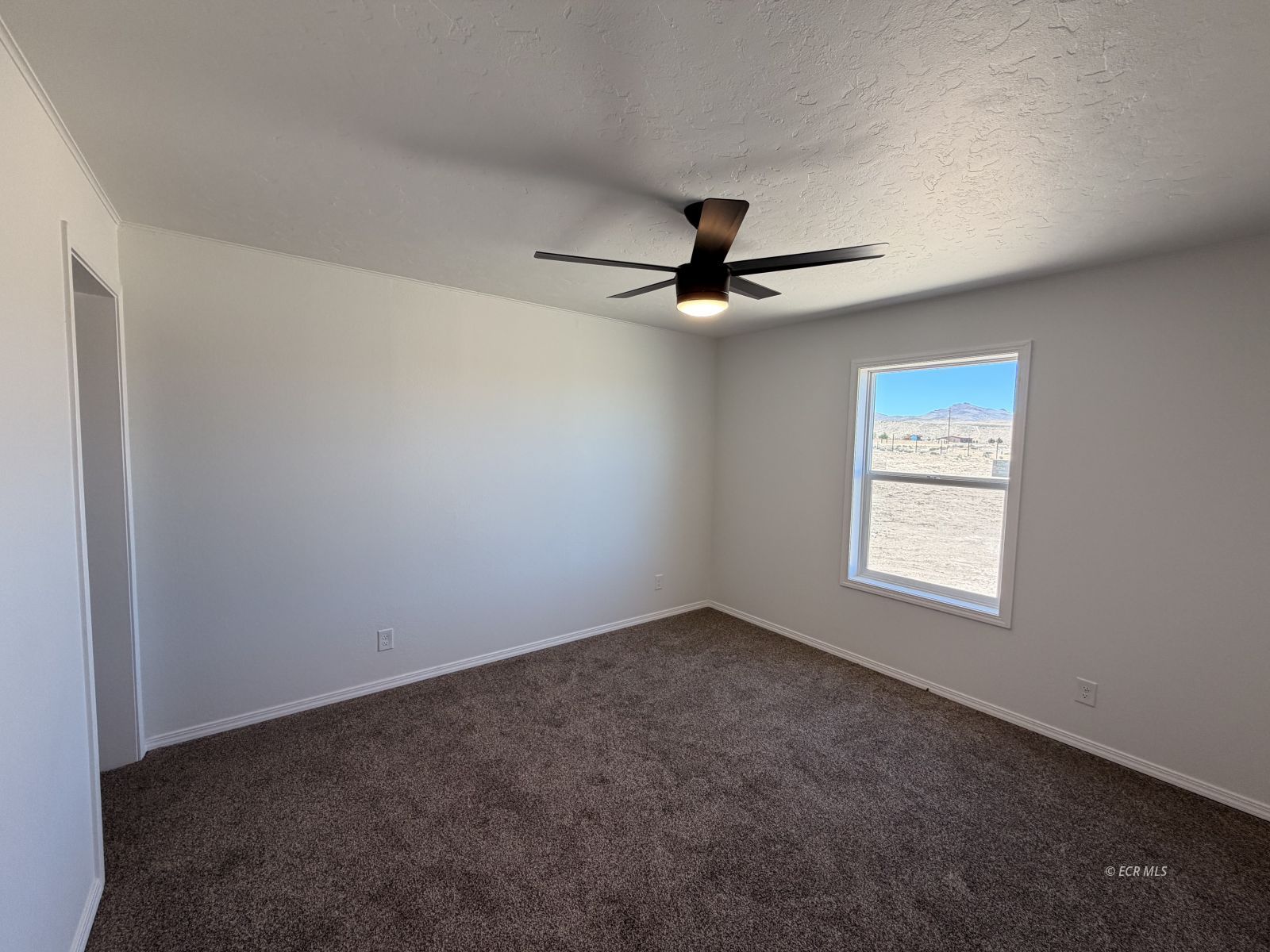 4539 Spear Street Property Photo 16