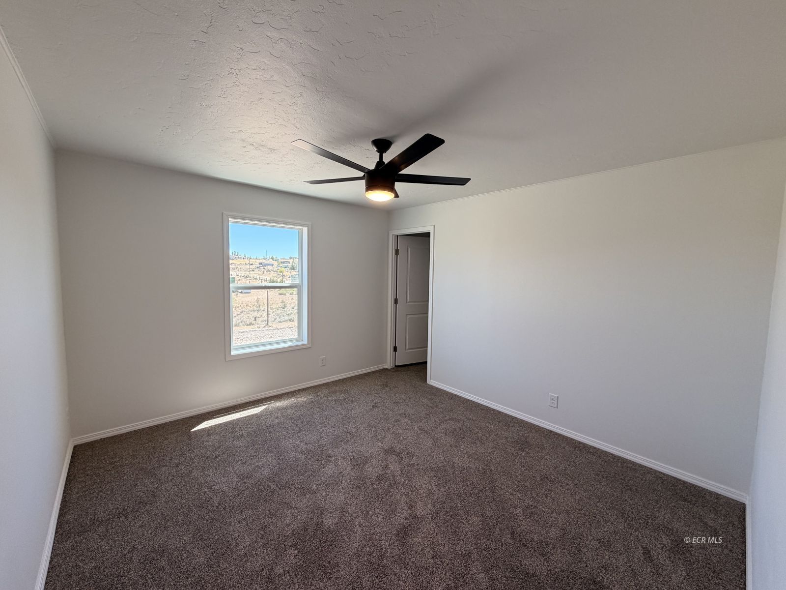 4539 Spear Street Property Photo 17