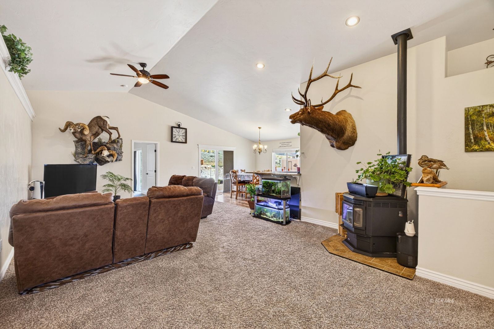 591 Shadybrook Drive Property Photo 4