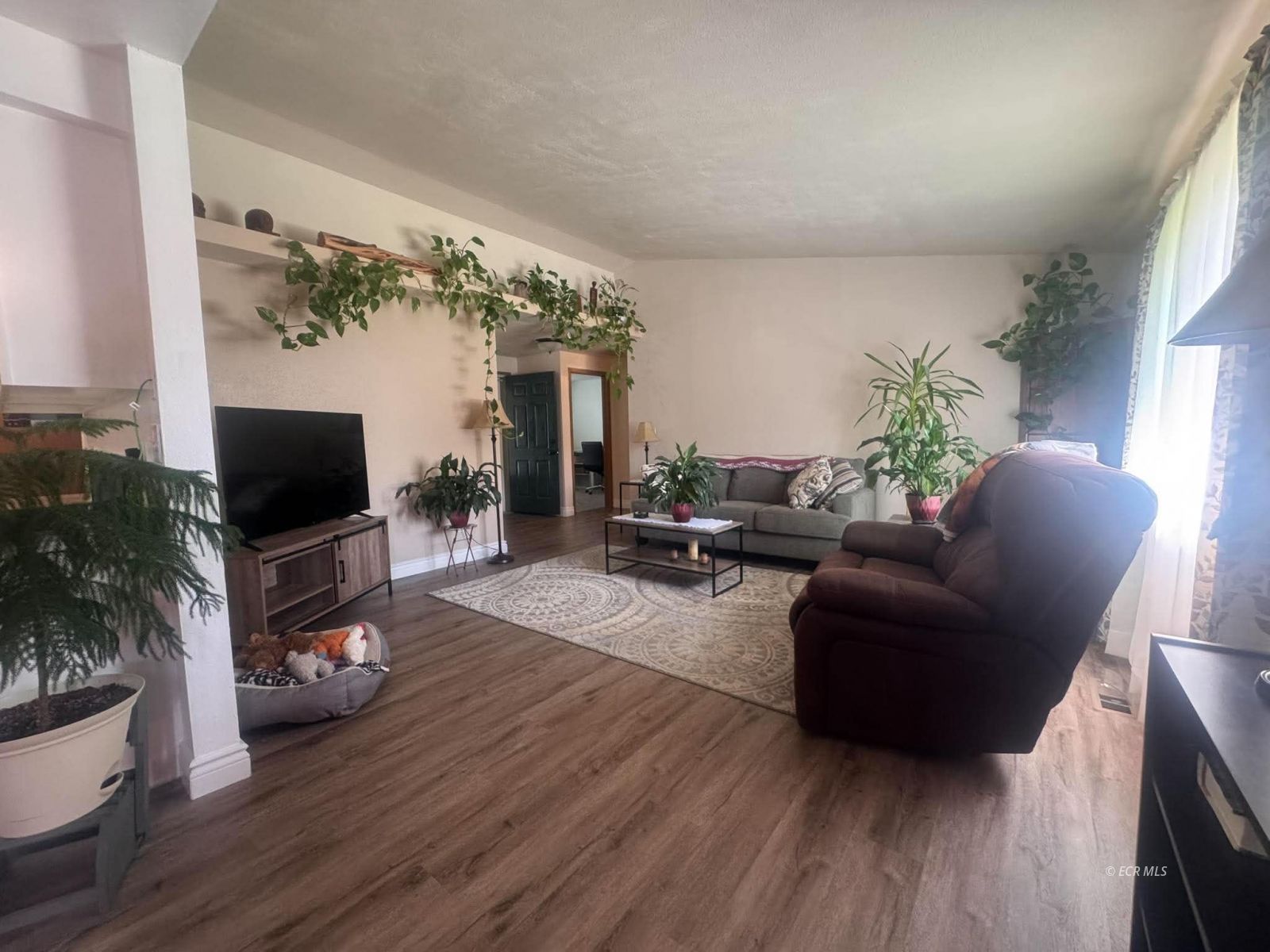 1523 Stitzel Road Property Photo 5