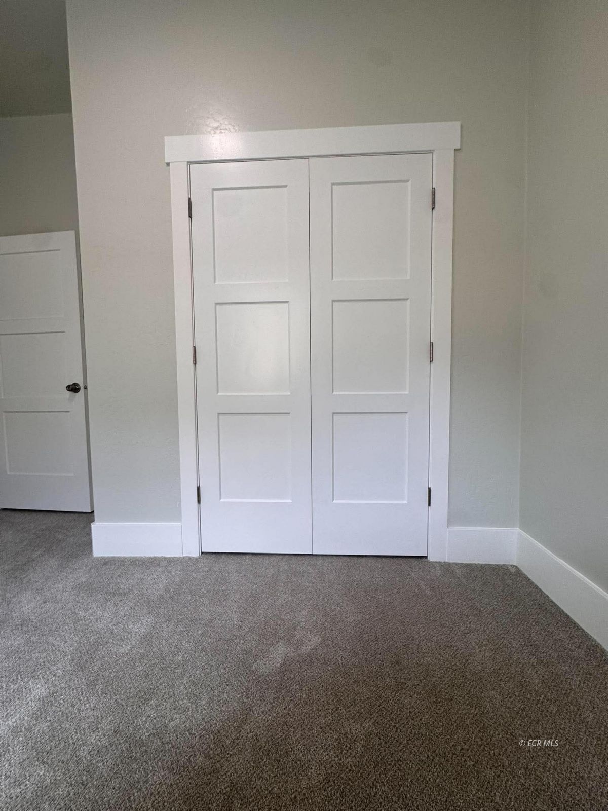 729 Pine Street Property Photo 8