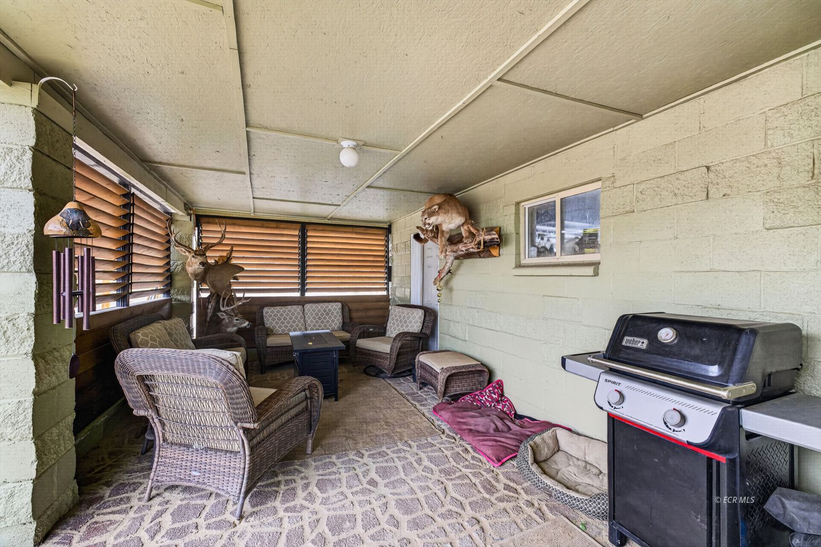 455 Lyndhurst Drive Property Photo 4