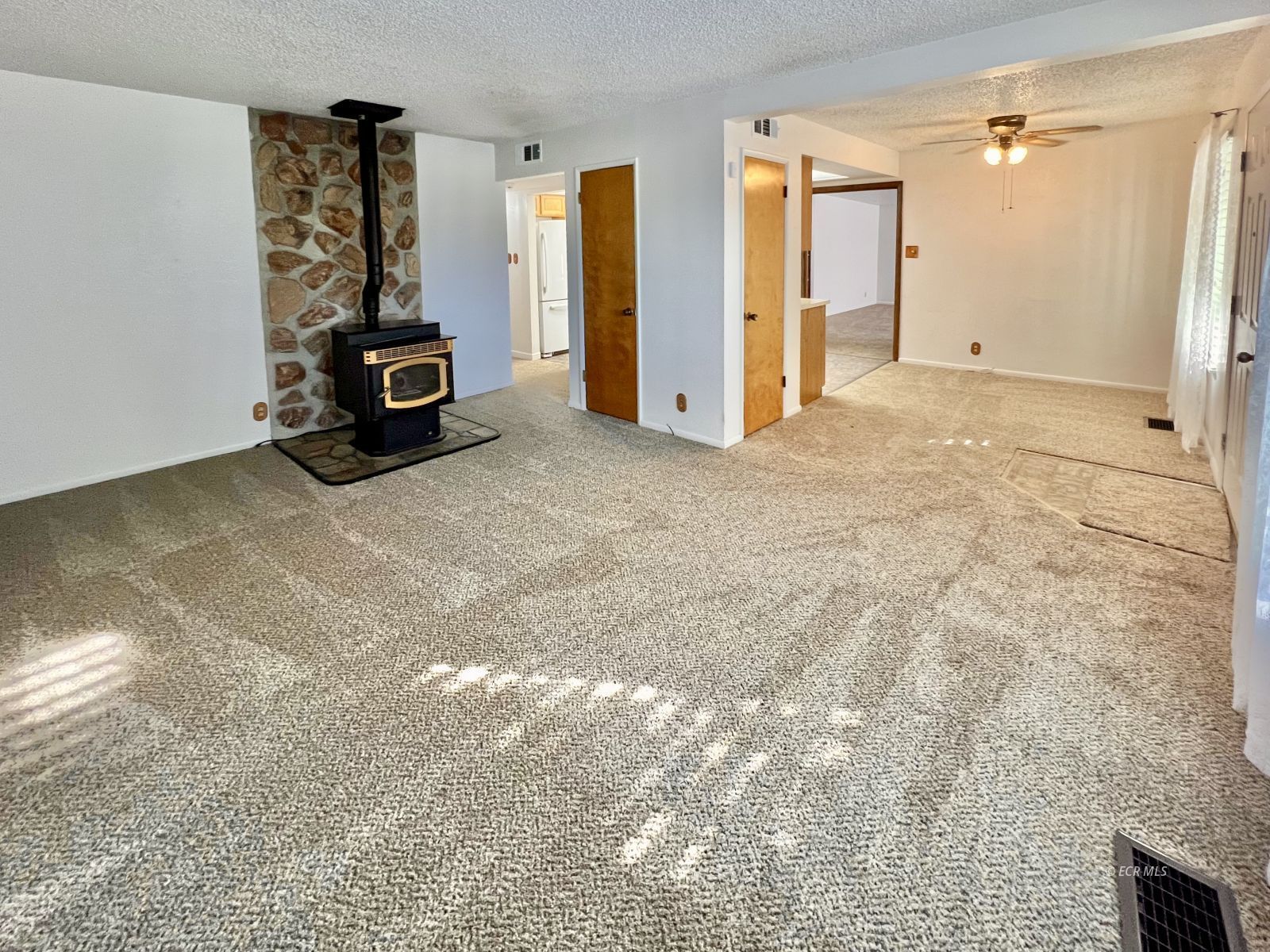 226 Willow Street Property Photo 3