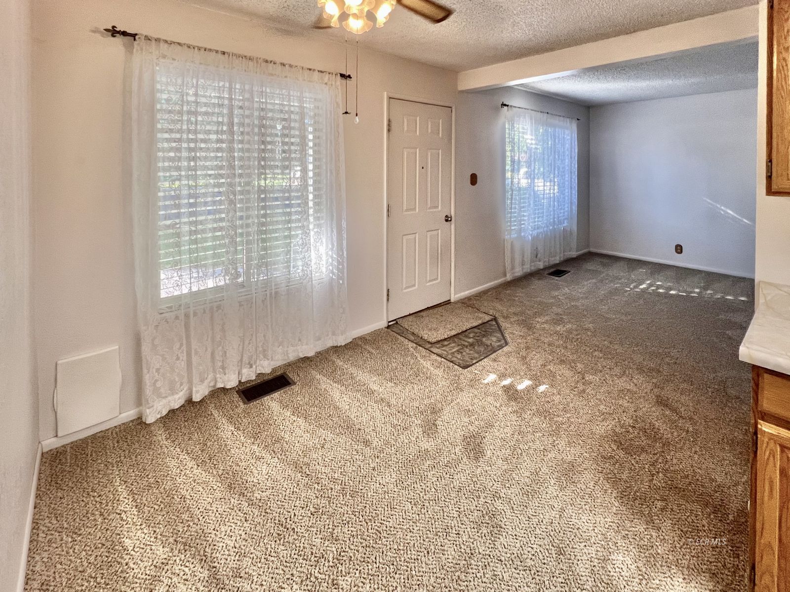 226 Willow Street Property Photo 7