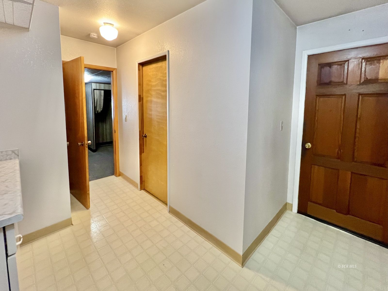 226 Willow Street Property Photo 13