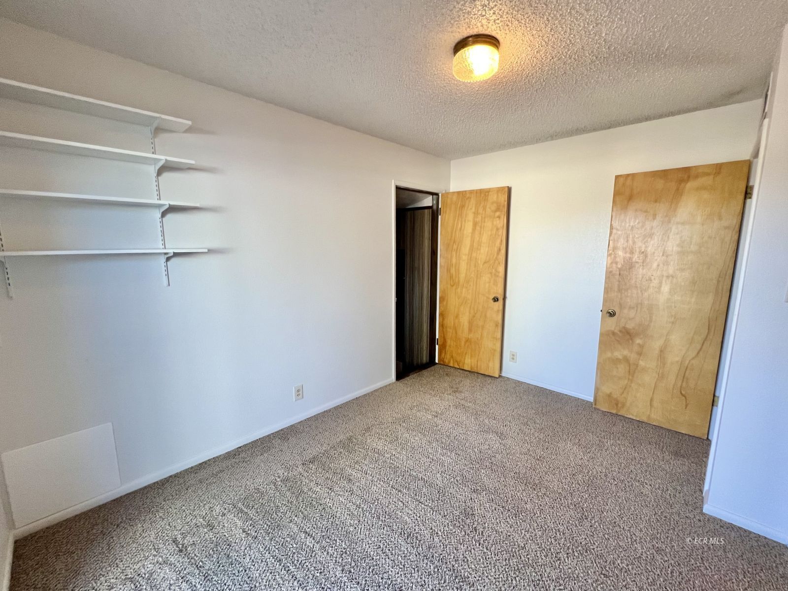 226 Willow Street Property Photo 17
