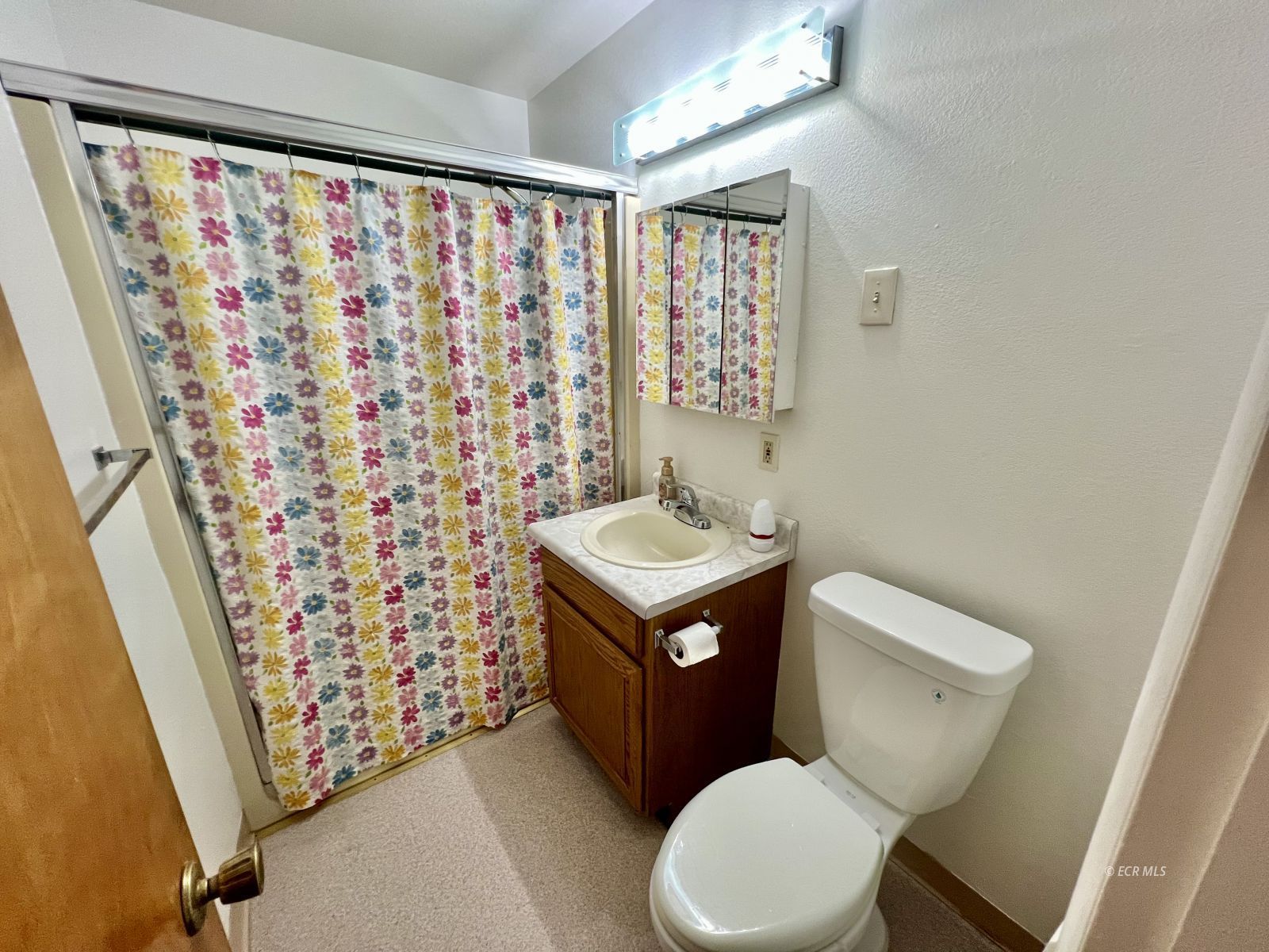 226 Willow Street Property Photo 18