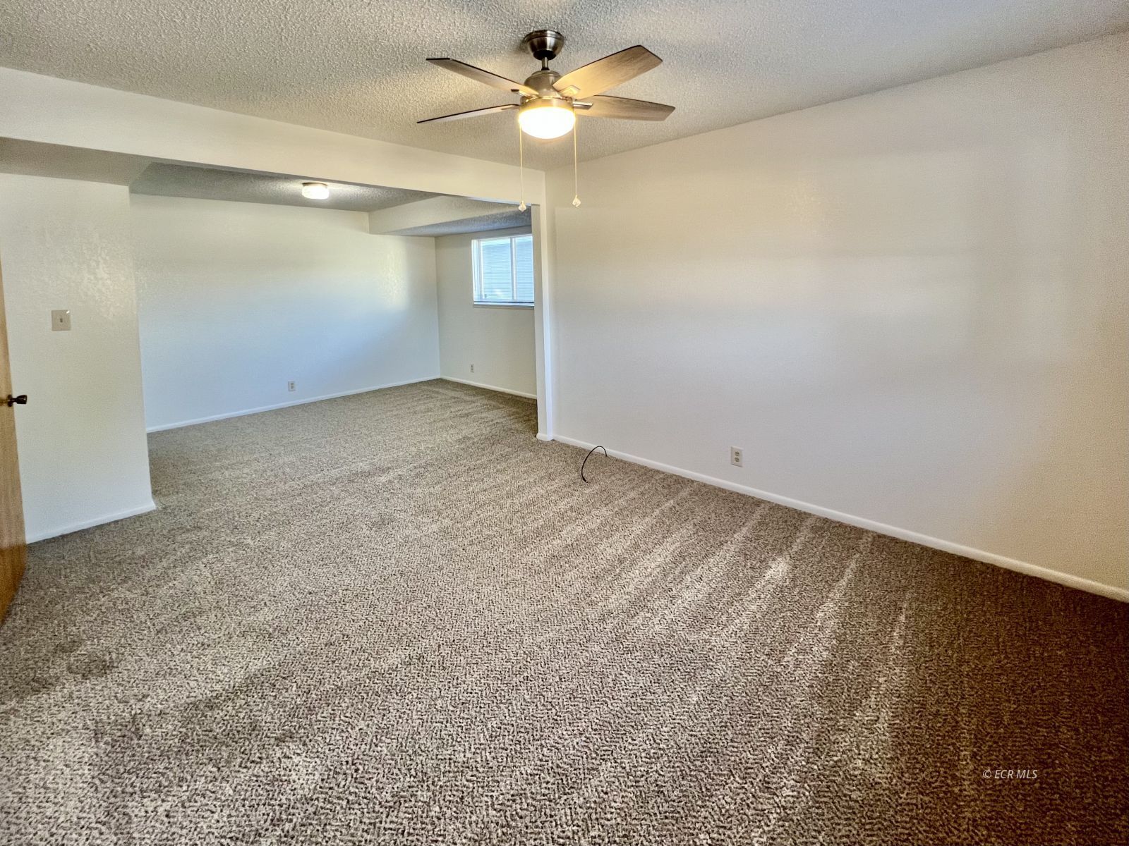226 Willow Street Property Photo 19