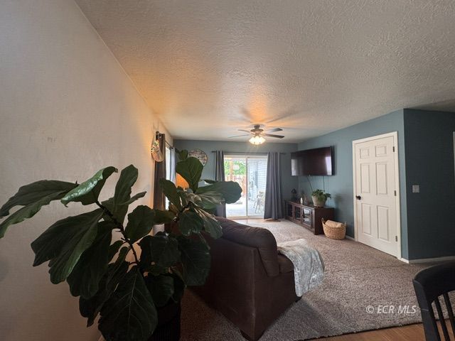 531 Sage Street Property Photo 12