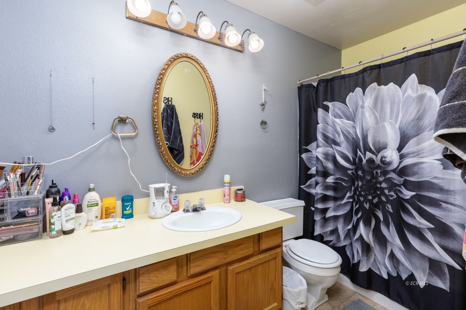 441 4th Street Property Photo 17
