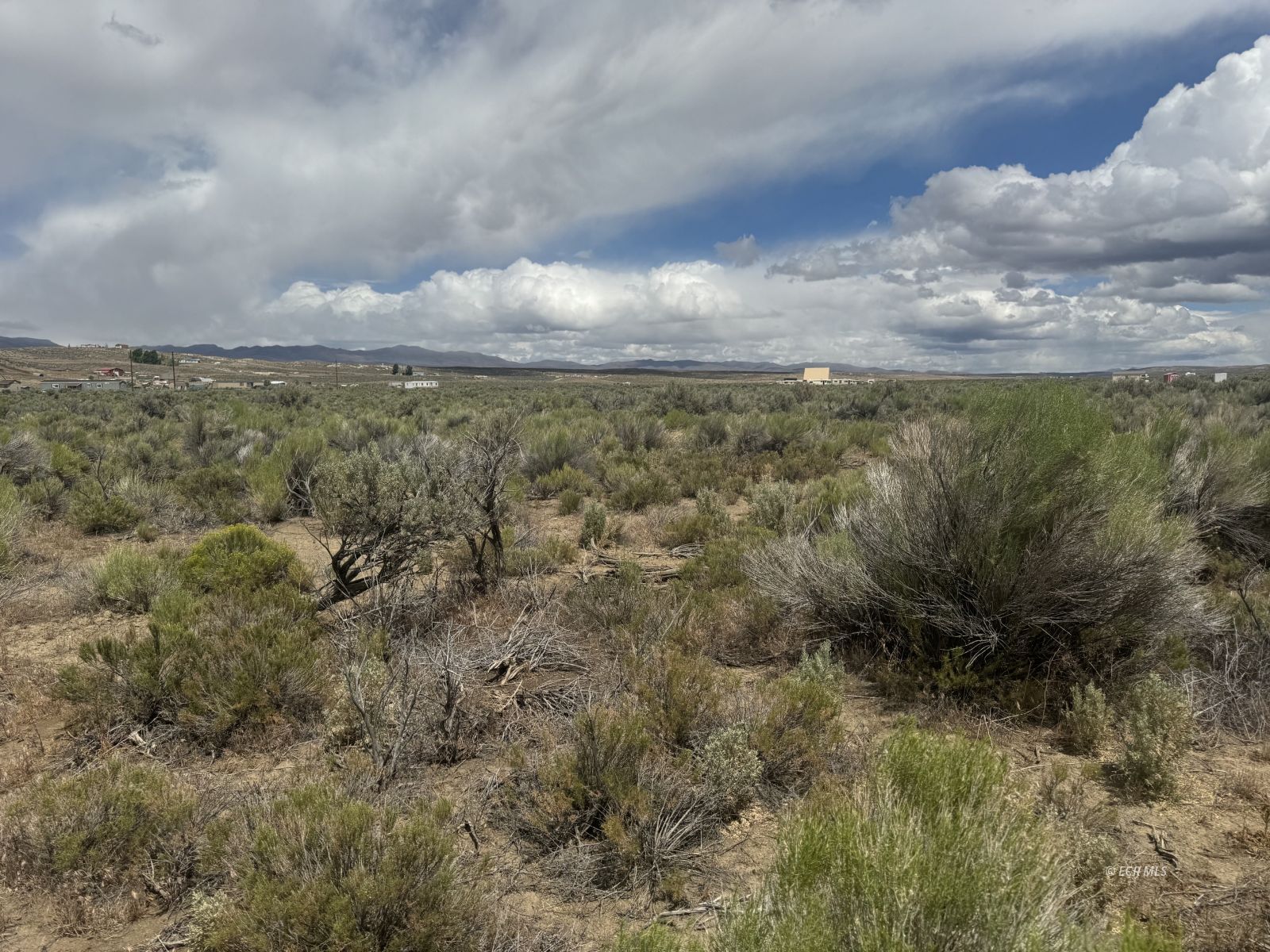Tbd Buchanan Avenue Property Photo 4