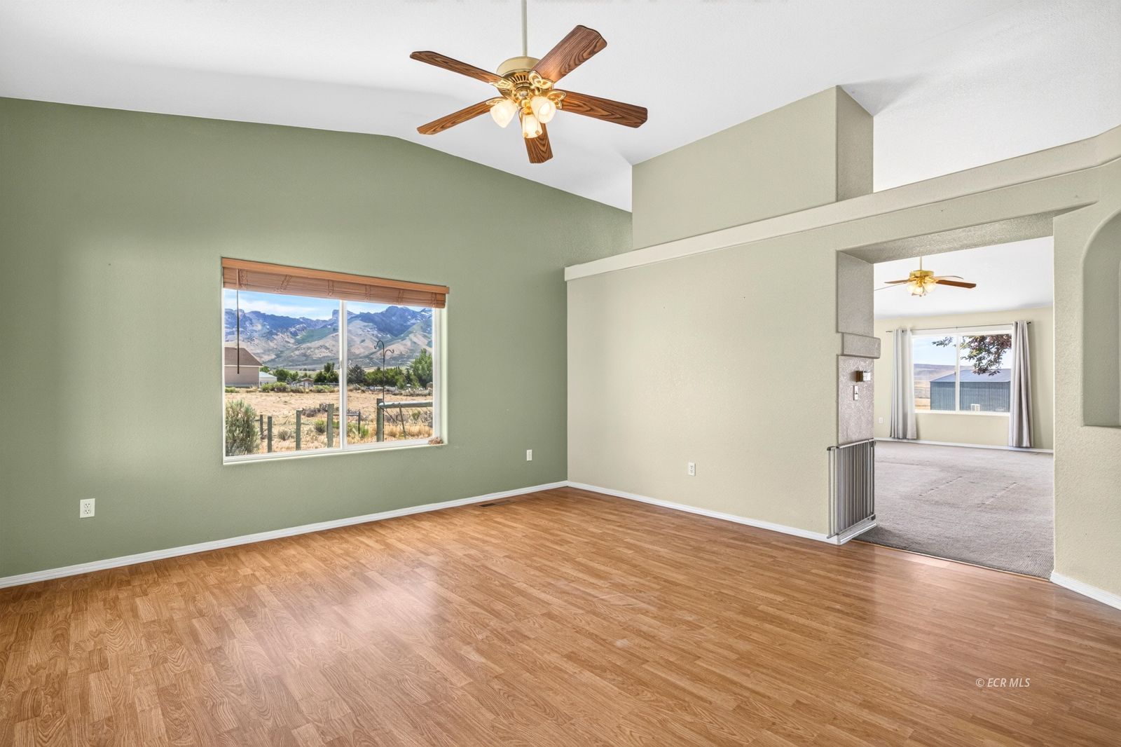 520 Cripple Creek Drive Property Photo 14