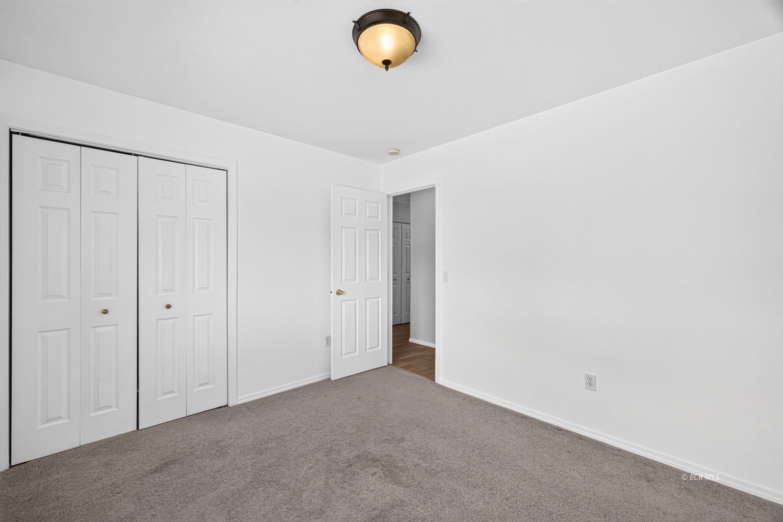 520 Cripple Creek Drive Property Photo 35