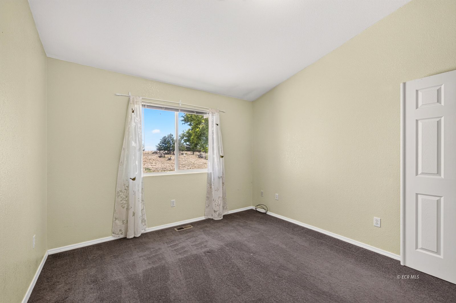 520 Cripple Creek Drive Property Photo 41