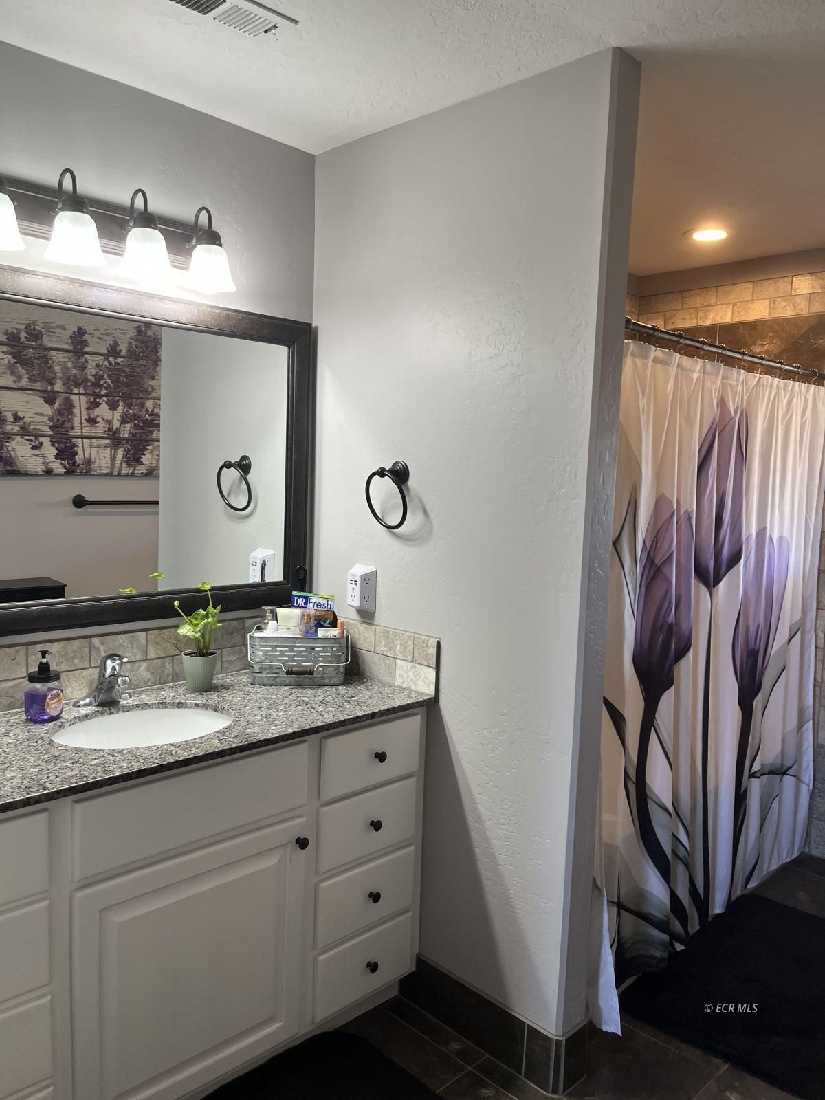 790 Black Oak Bay Drive Property Photo 4