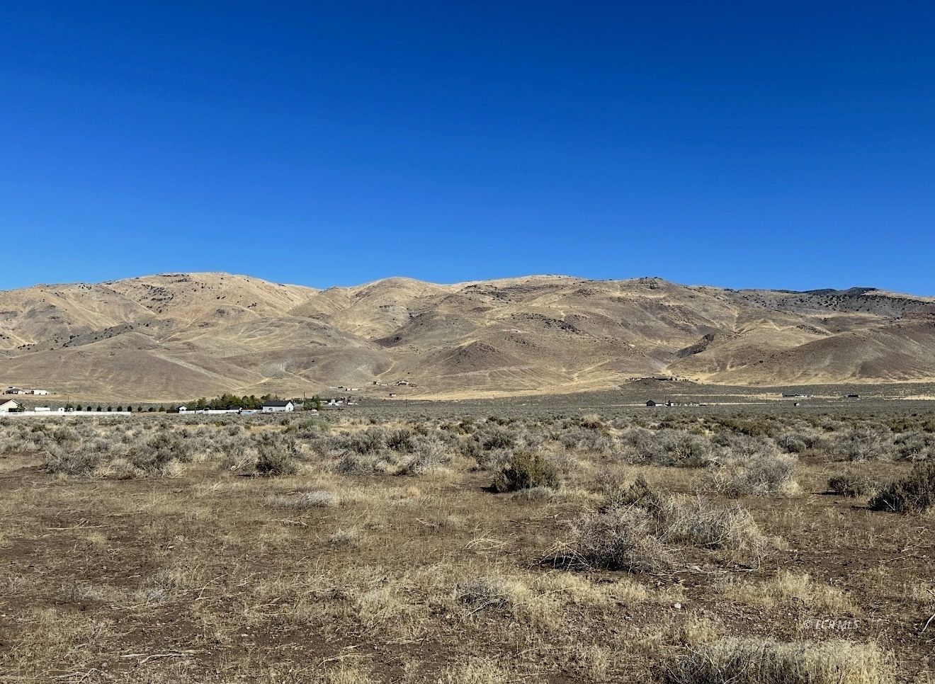 425 Allium Street Property Photo 1