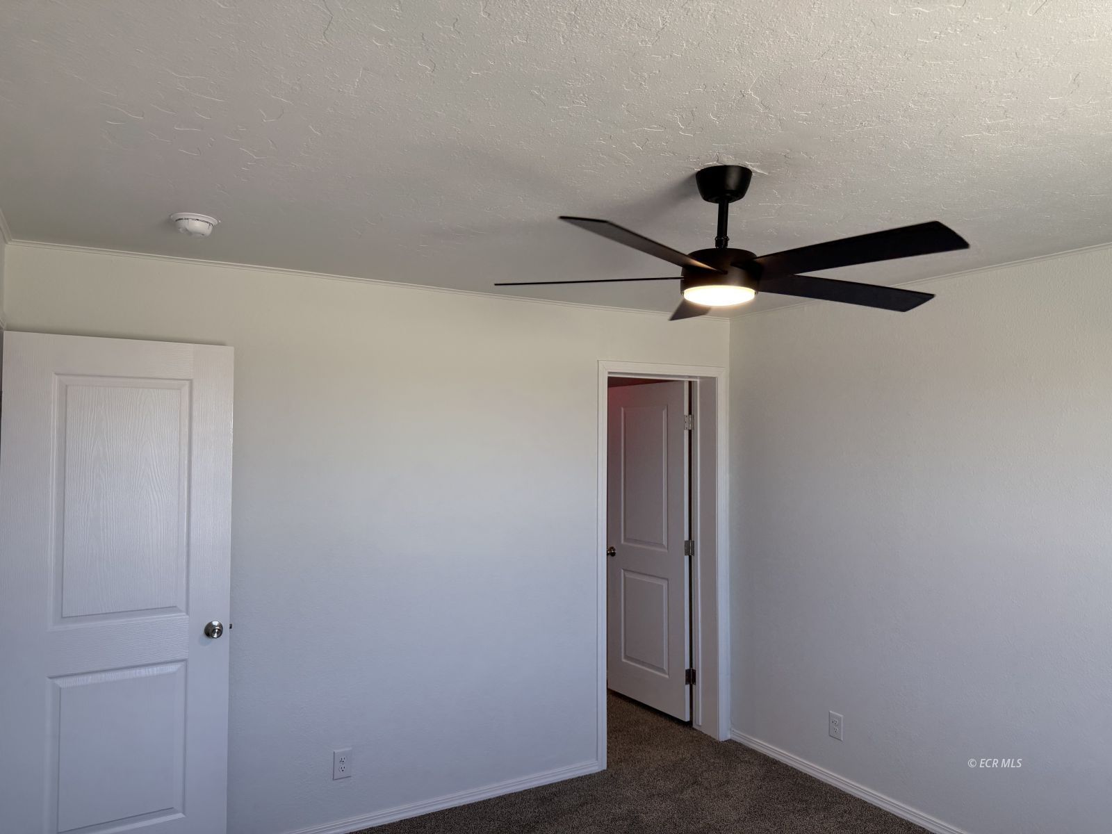 7650 Bea's View Drive Property Photo 15