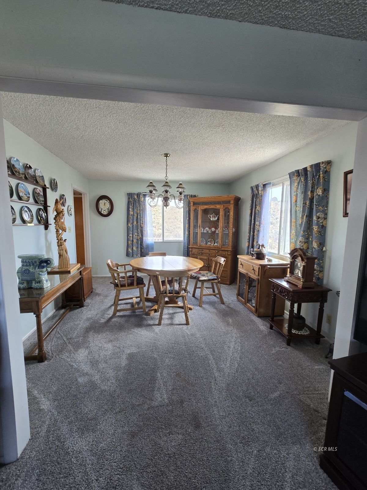 597 Shadybrook Drive Property Photo 8