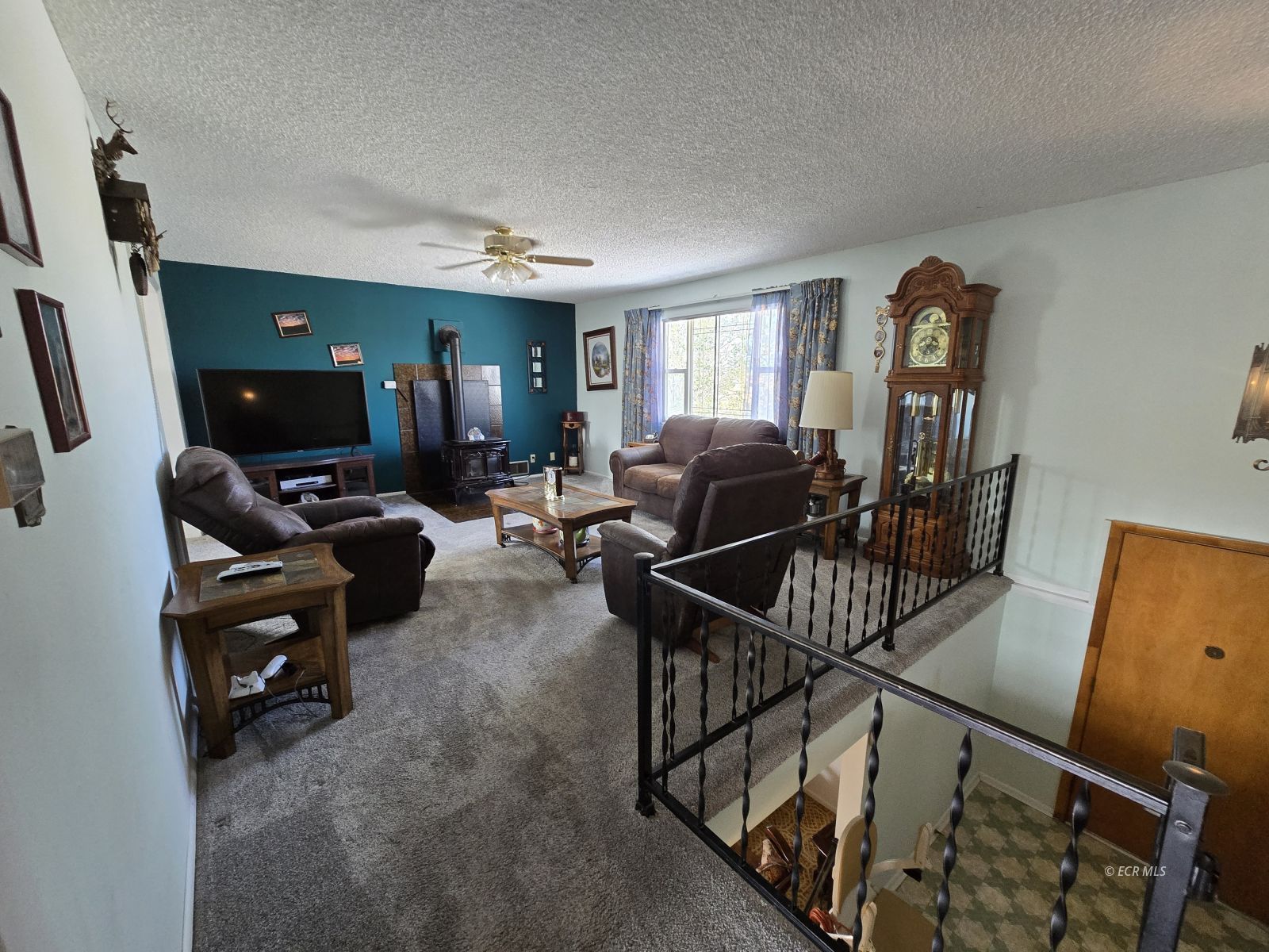 597 Shadybrook Drive Property Photo 10