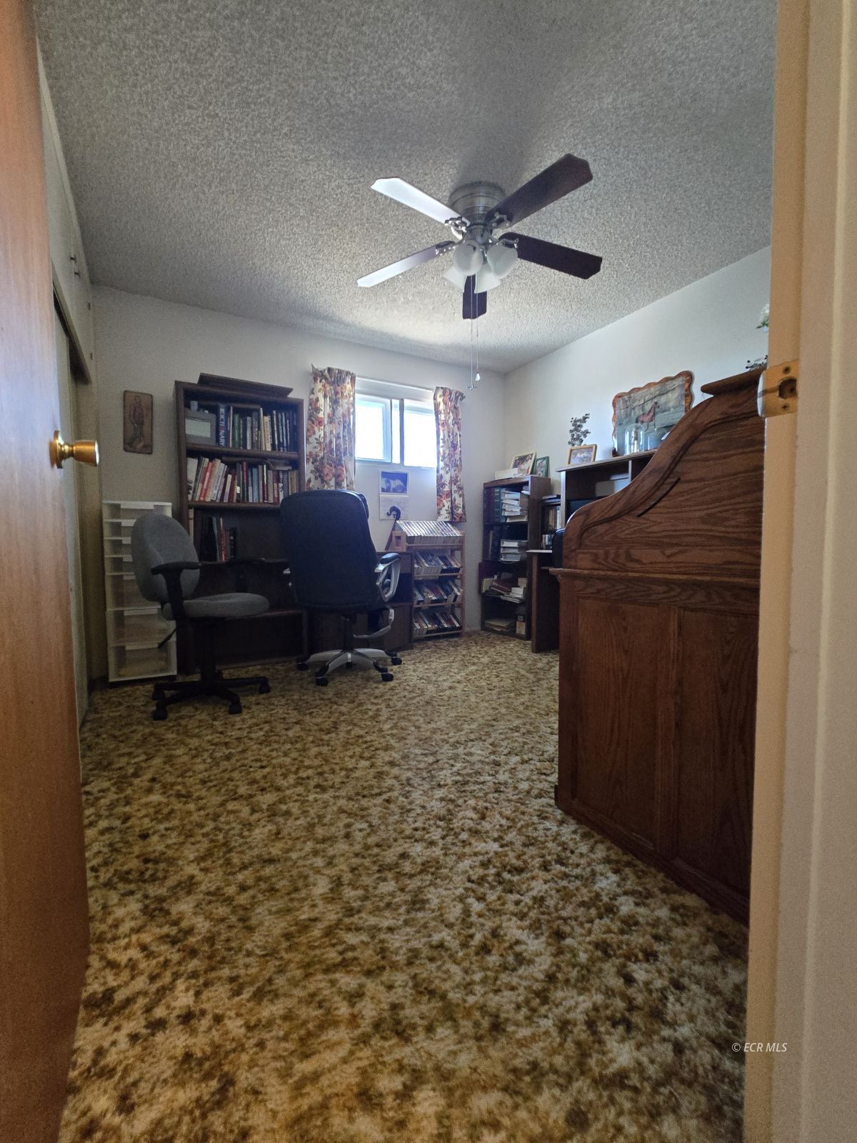 597 Shadybrook Drive Property Photo 16