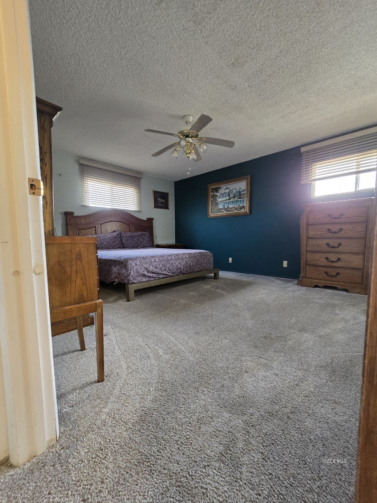 597 Shadybrook Drive Property Photo 18