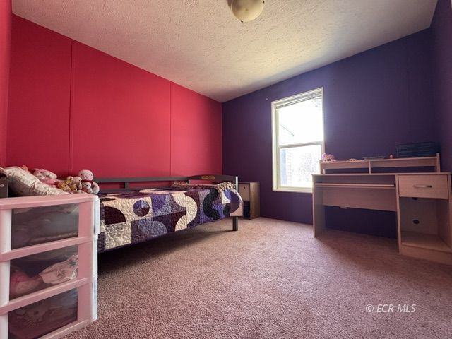 7024 Snake River Boulevard Property Photo 22