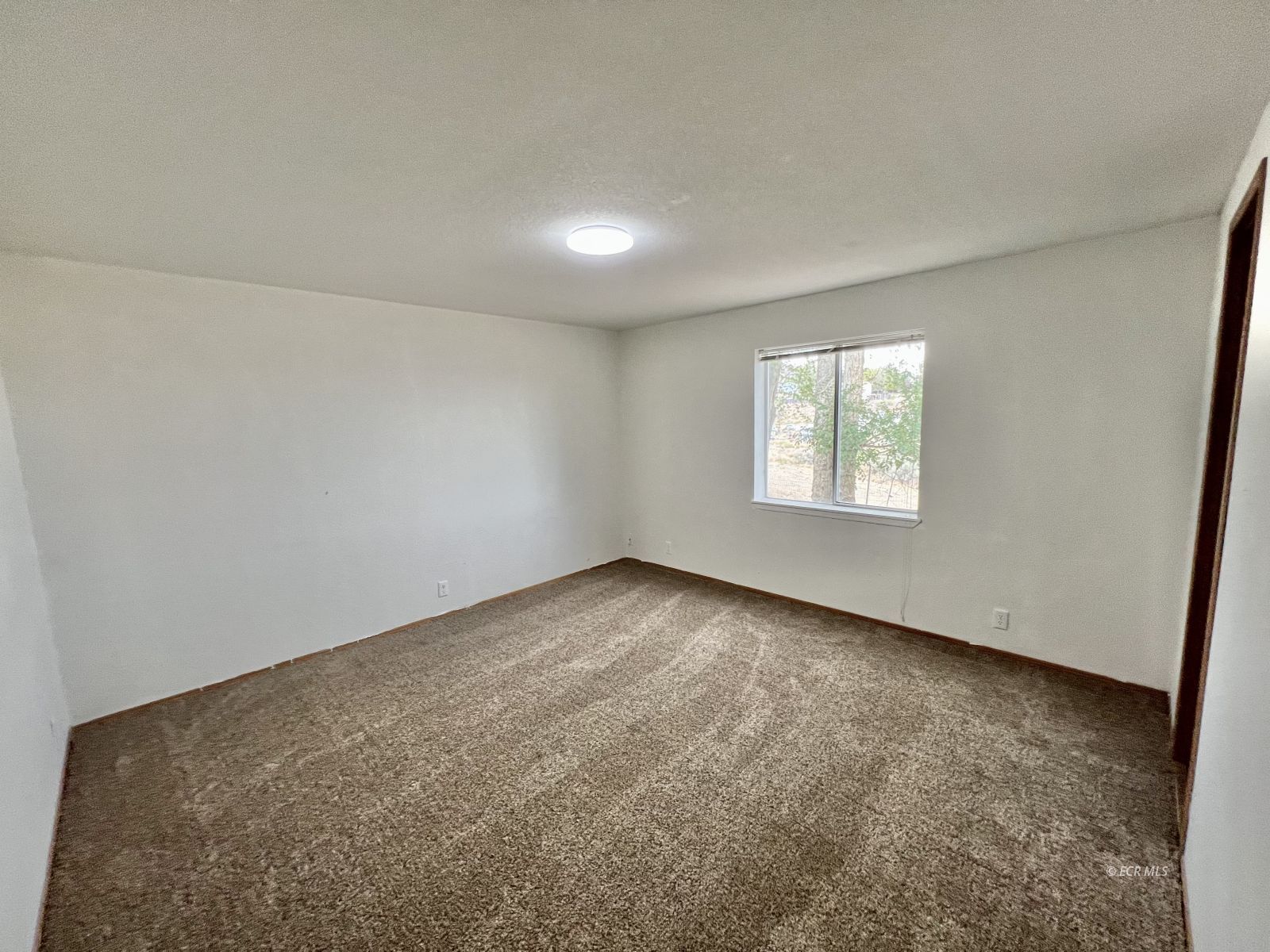592 Gilia Place Property Photo 14