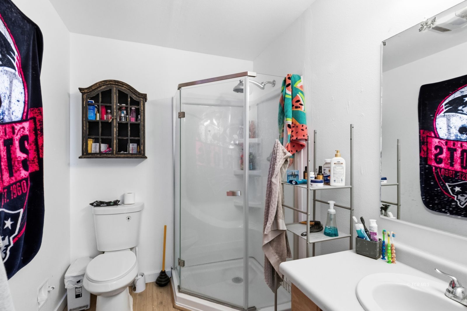 341 Parkchester Drive Property Photo 28