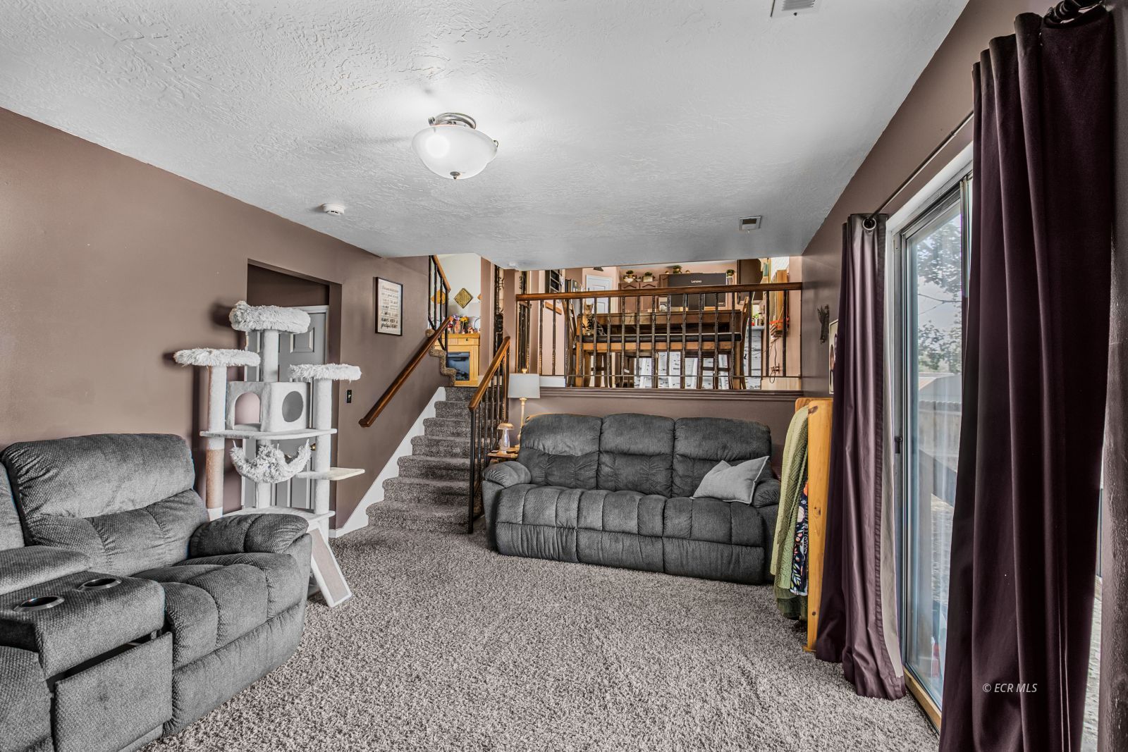 2424 Rodeo Court Property Photo 14