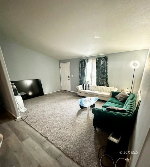 545 Tasha Way Property Photo 3