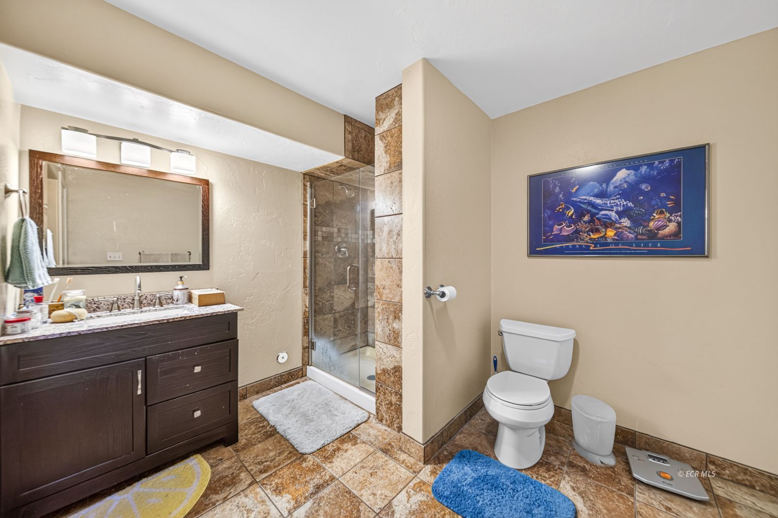 751 Thistle Drive Property Photo 25