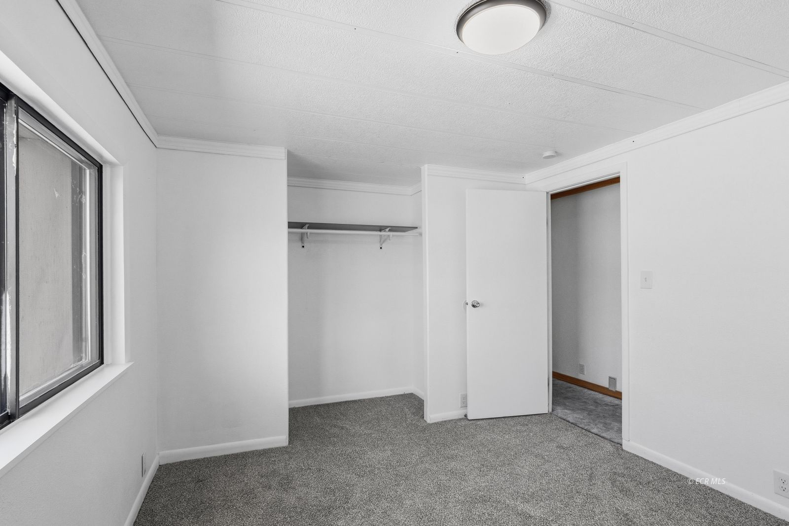 493 Gilia Drive Property Photo 17