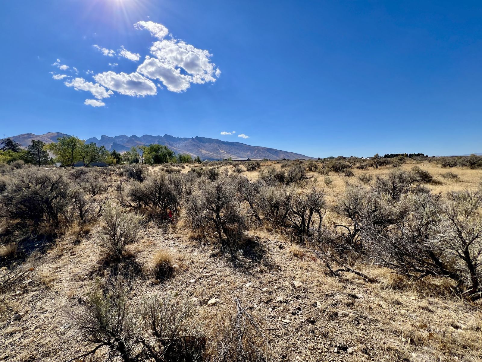 805 Aesop Drive Property Photo 1