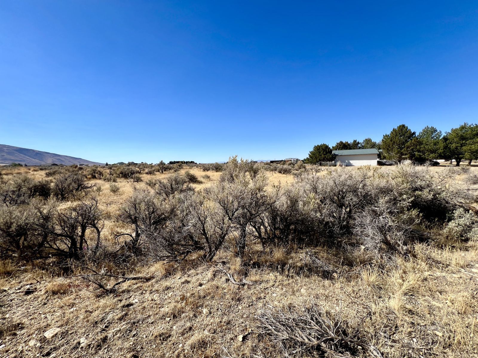 805 Aesop Drive Property Photo 3